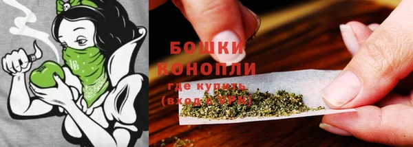 дурь Алексеевка