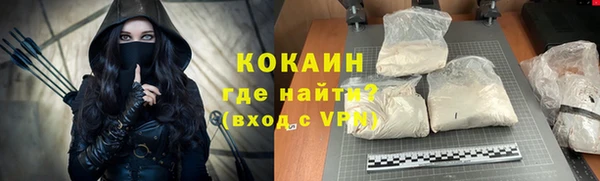 шишки Алексин