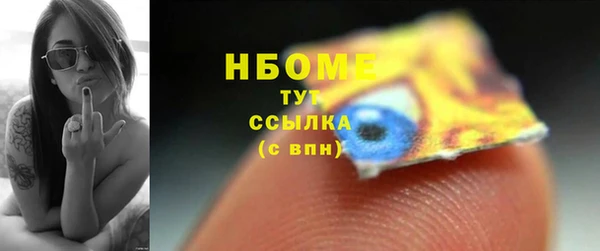 шишки Алексин