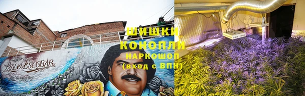 дурь Алексеевка