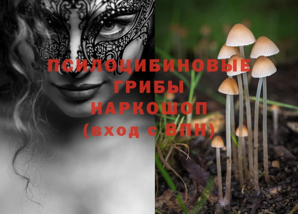 соль курить ск Алзамай