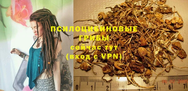 шишки Алексин